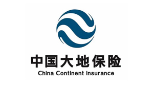 中国大地保险